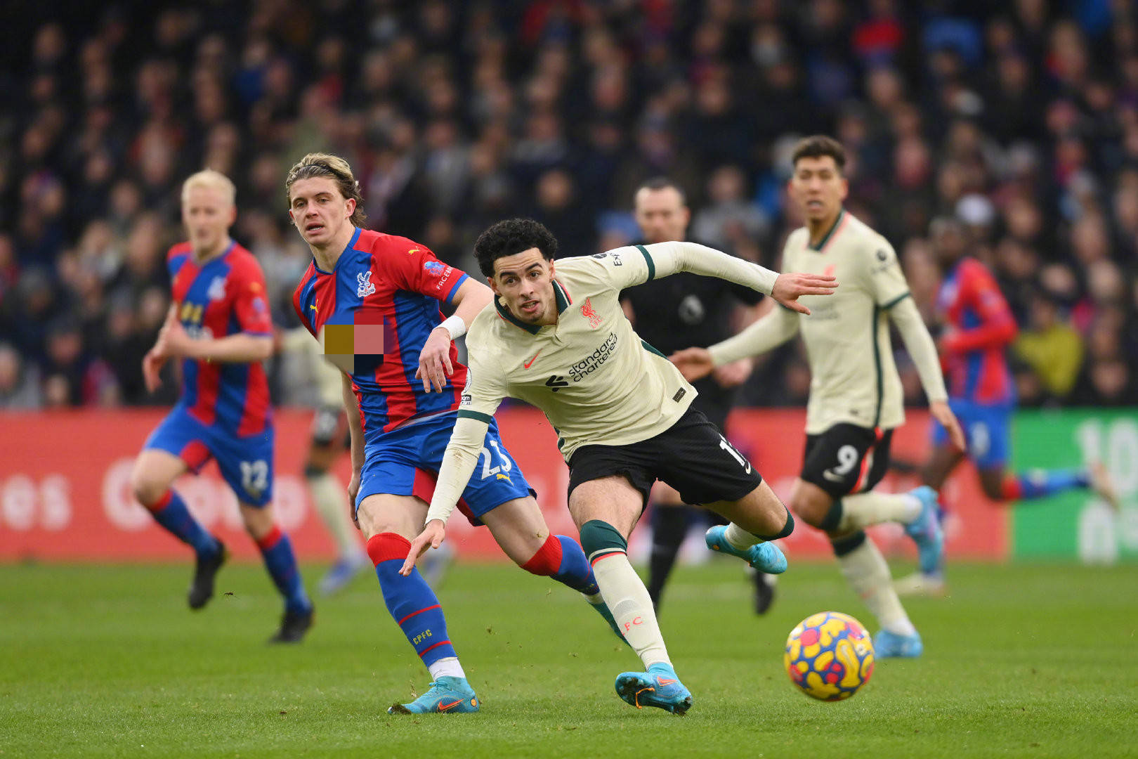 们贡献高水 们贡献高水