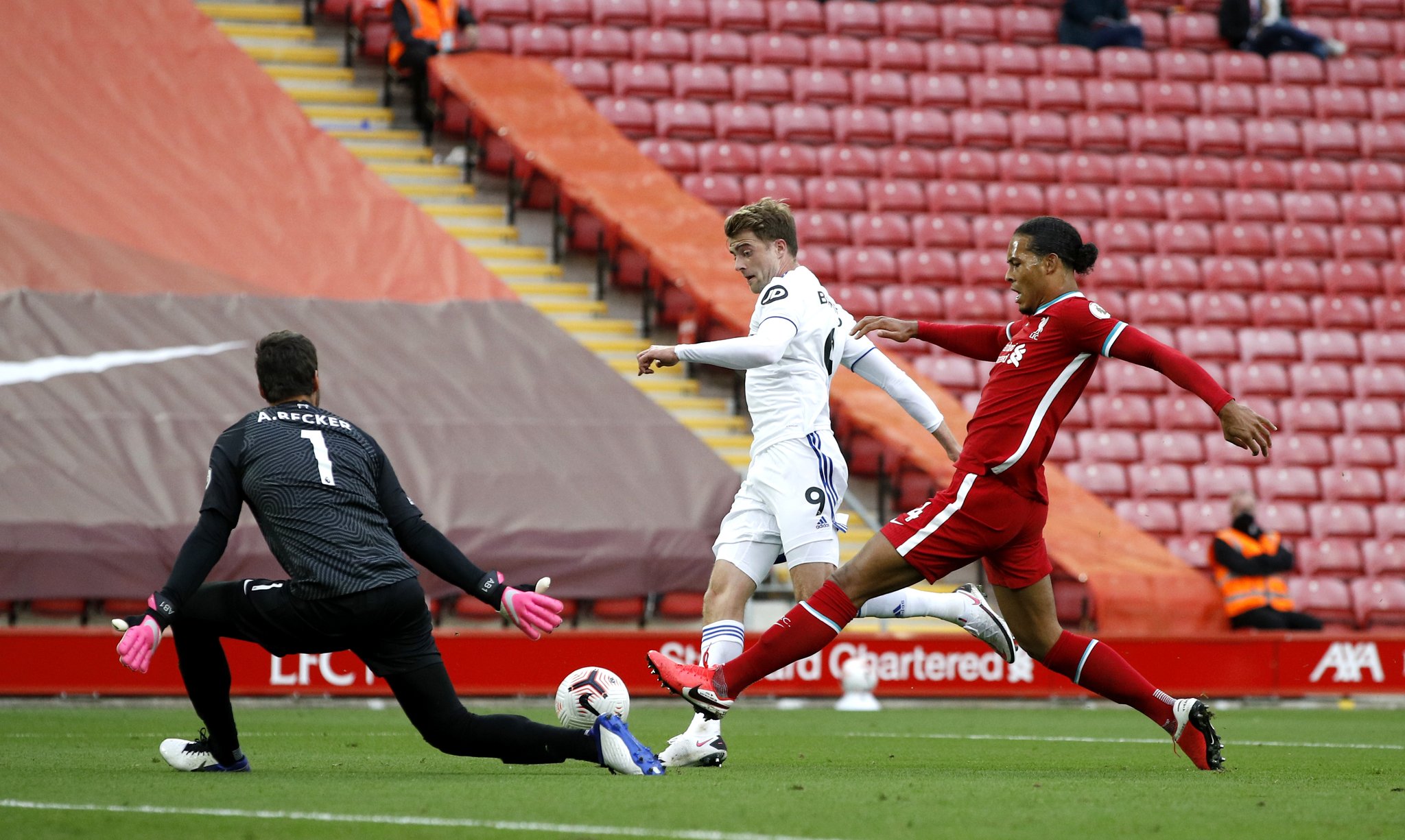 银狐的高光 银狐的高光